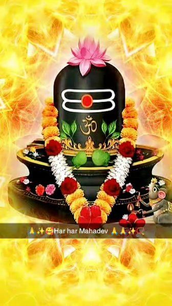 ❤️Love You ज़िंदगी ❤️ - ShareChat