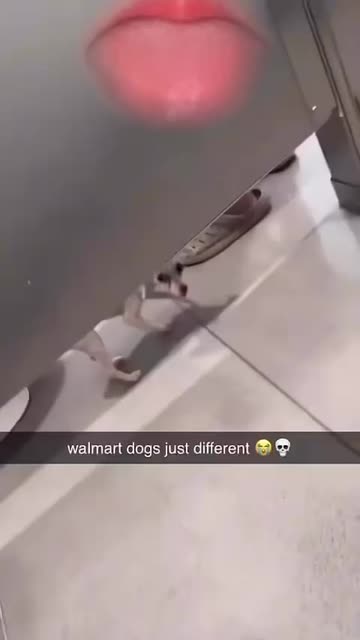Spotlight content by a Snapchat user