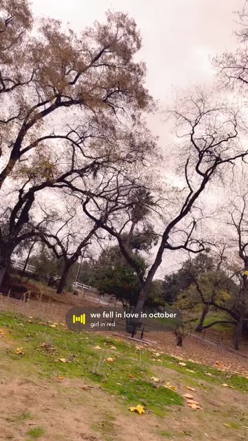 Preview for a Spotlight video that uses the Cacophony Of Eyes Lens