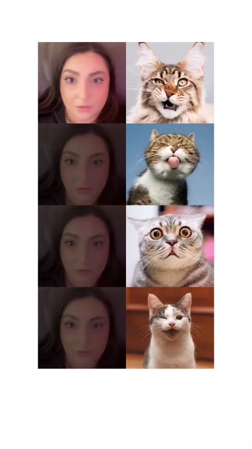 Preview for a Spotlight video that uses the Cat Match Lens