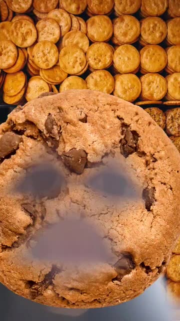 Preview for a Spotlight video that uses the Choco Chip Cookies Lens
