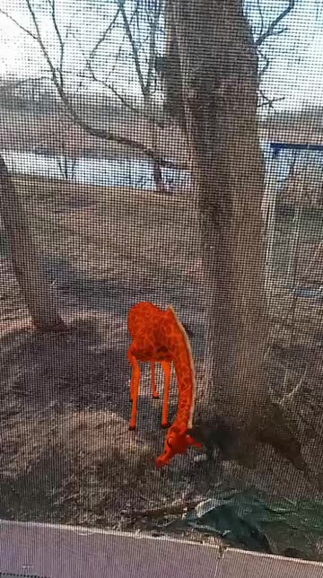 Preview for a Spotlight video that uses the Crazy Giraffe Lens