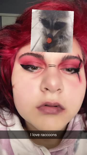 Preview for a Spotlight video that uses the which raccoon Lens