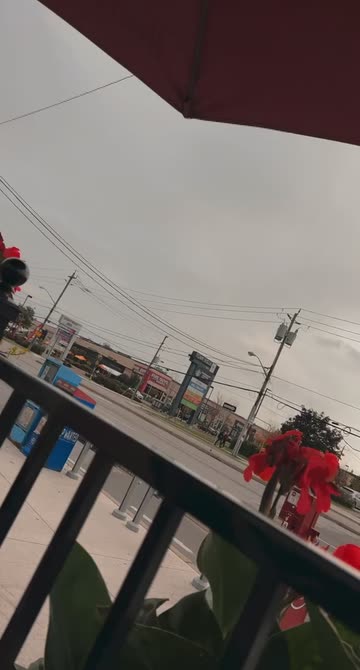 Preview for a Spotlight video that uses the Filmy Lens