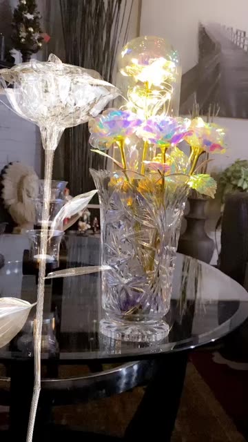 Preview for a Spotlight video that uses the Glass Rose Lens