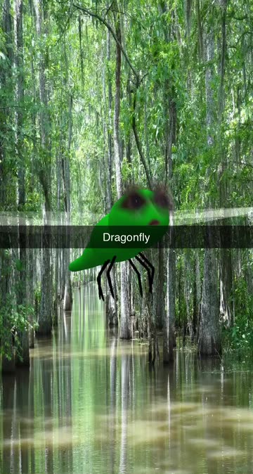 Preview for a Spotlight video that uses the Dragonfly Lens