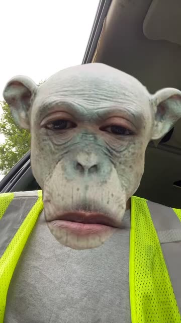 Preview for a Spotlight video that uses the Cute Monkey Face 3 Lens