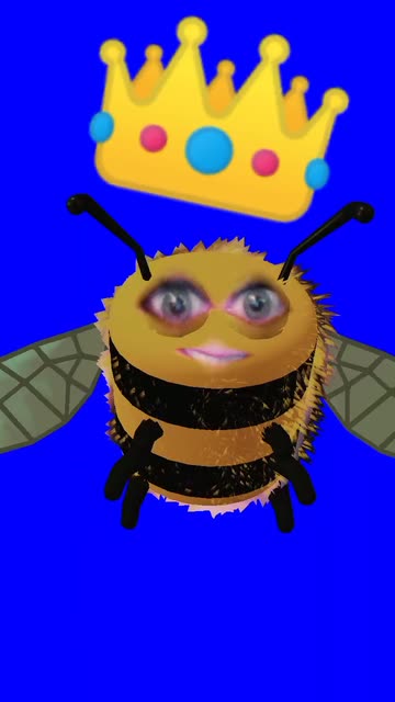 Preview for a Spotlight video that uses the Bumblebee Lens