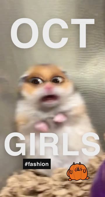Preview for a Spotlight video that uses the scared hamster Lens