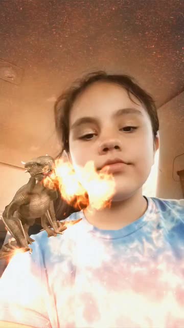 Preview for a Spotlight video that uses the Randomizer Fingerspelling  Lens