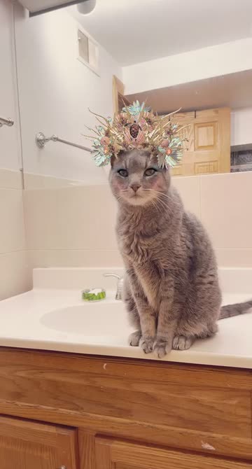 Preview for a Spotlight video that uses the Mermaid Queen Lens