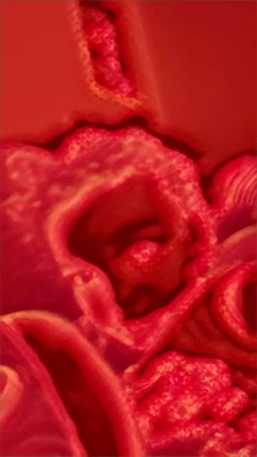 Preview for a Spotlight video that uses the Hot Cheetos Lens