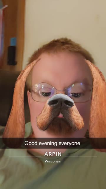 Preview for a Spotlight video that uses the Like a Dog Lens