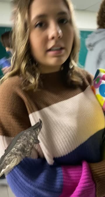 Preview for a Spotlight video that uses the Crocodile Lens