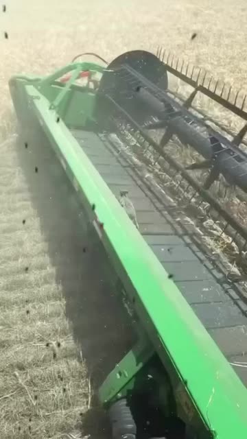 Spotlight content by a Snapchat user