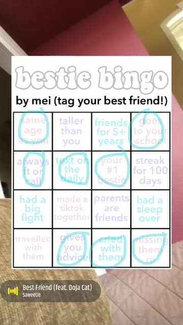 Preview for a Spotlight video that uses the bestie bingo Lens