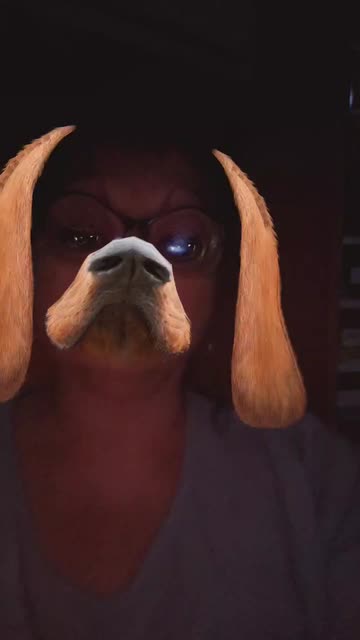 Preview for a Spotlight video that uses the Like a Dog Lens