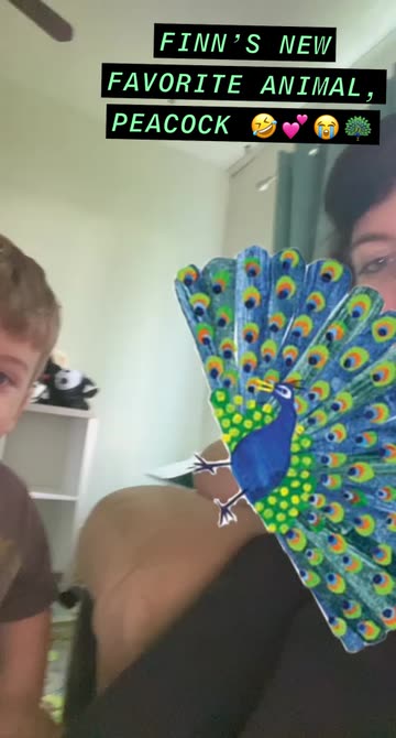 Preview for a Spotlight video that uses the PBBook Peacock Lens