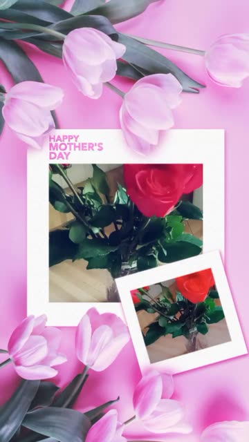 Preview for a Spotlight video that uses the Tulips Congrats Lens