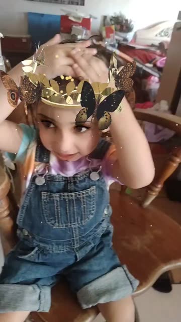 Preview for a Spotlight video that uses the Gold Butterflies Lens