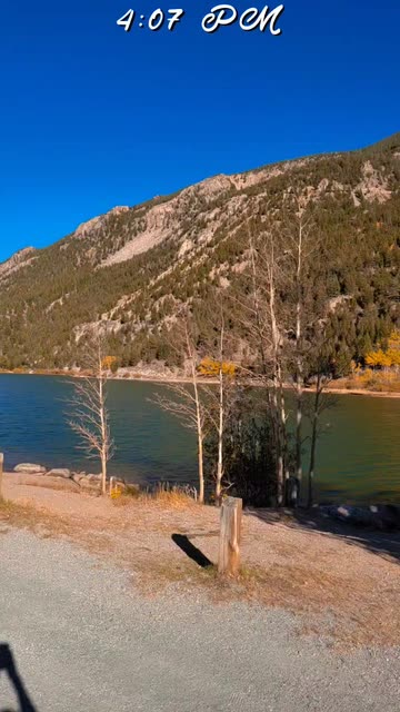 Preview for a Spotlight video that uses the Yellow Tree Lens