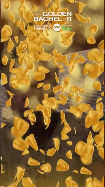 Preview for a Spotlight video that uses the Golden Bachelor Lens