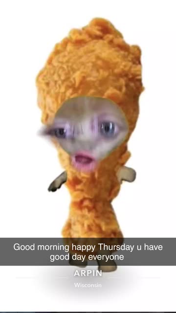 Preview for a Spotlight video that uses the chicken kitten Lens
