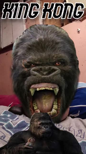 Preview for a Spotlight video that uses the KING KONG 4D Lens