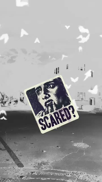 Preview for a Spotlight video that uses the Halloween Bats Lens