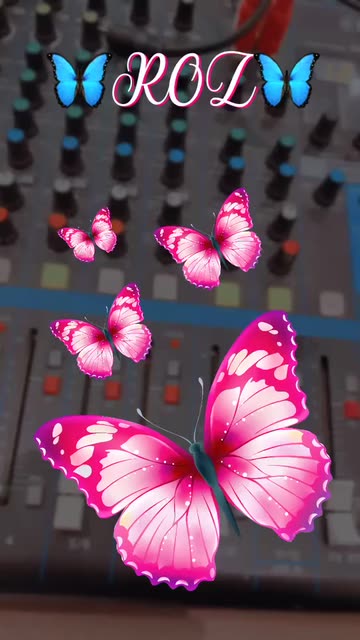 Preview for a Spotlight video that uses the Your Name Pink Lens