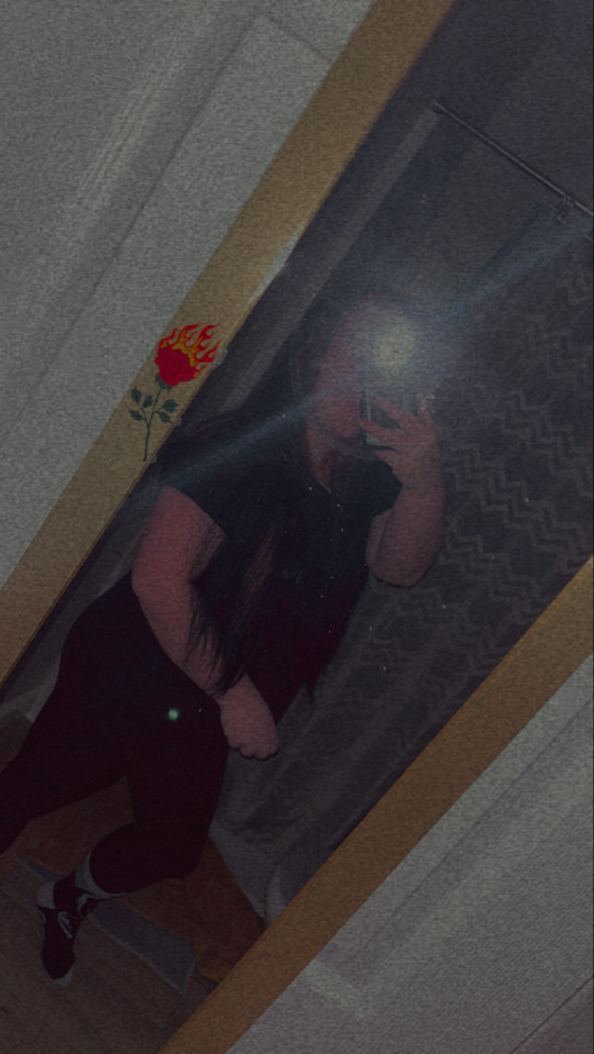 bcarringer7