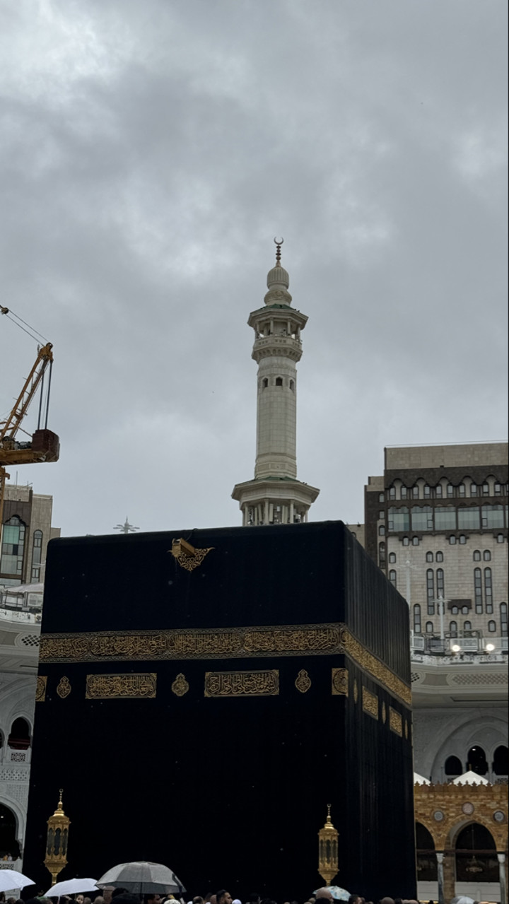 قصة سناب شات للحساب llill195-5 رقم 233