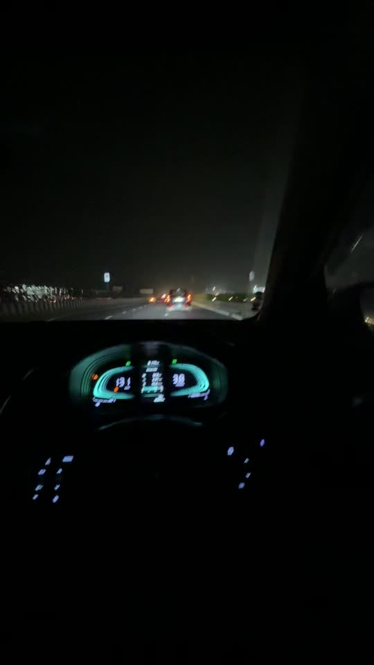 anasmalik2273