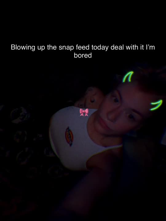 calico4311