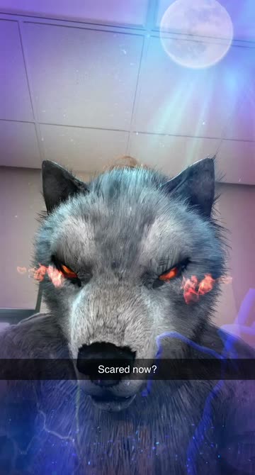 Preview for a Spotlight video that uses the Werewolf Lens
