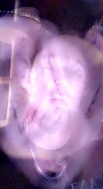 Preview for a Spotlight video that uses the Morph Lens