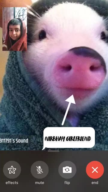 John Pork Facetime Lens by c̷a̷d̷e̷n̷ - Snapchat Lenses and Filters