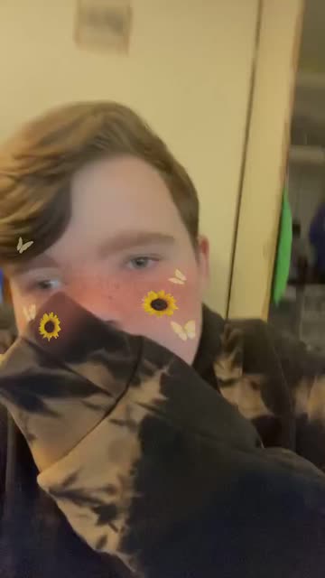 Preview for a Spotlight video that uses the sunflower Lens