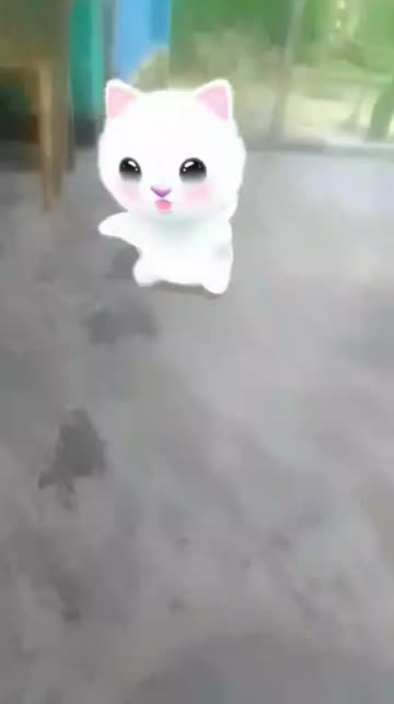 Preview for a Spotlight video that uses the Dancing Cat  Lens