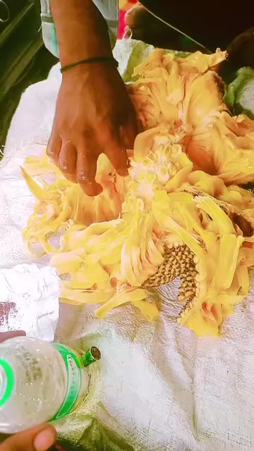 Preview for a Spotlight video that uses the BRIGHT COLOURS Lens