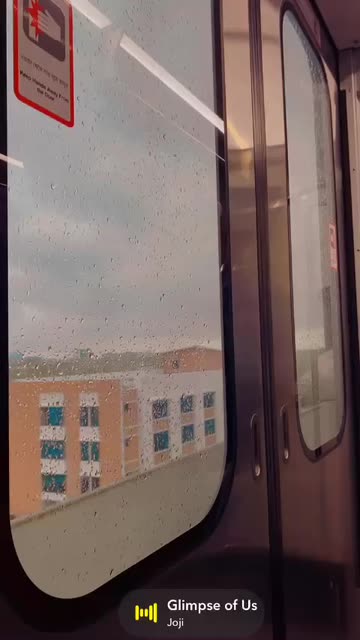 Preview for a Spotlight video that uses the Sunflower Lens