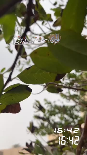 Preview for a Spotlight video that uses the Rain phrases-2 Lens