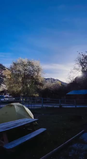 Preview for a Spotlight video that uses the BEST 11 Lens