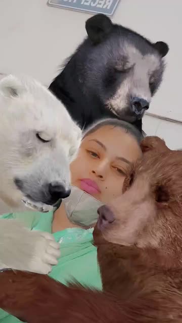 Preview for a Spotlight video that uses the 3 Little Bears Lens