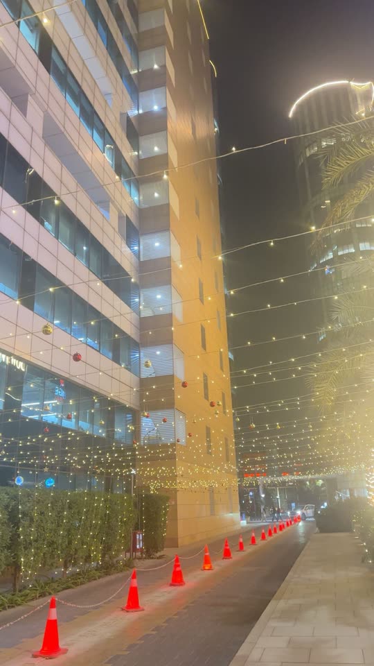 palak9558