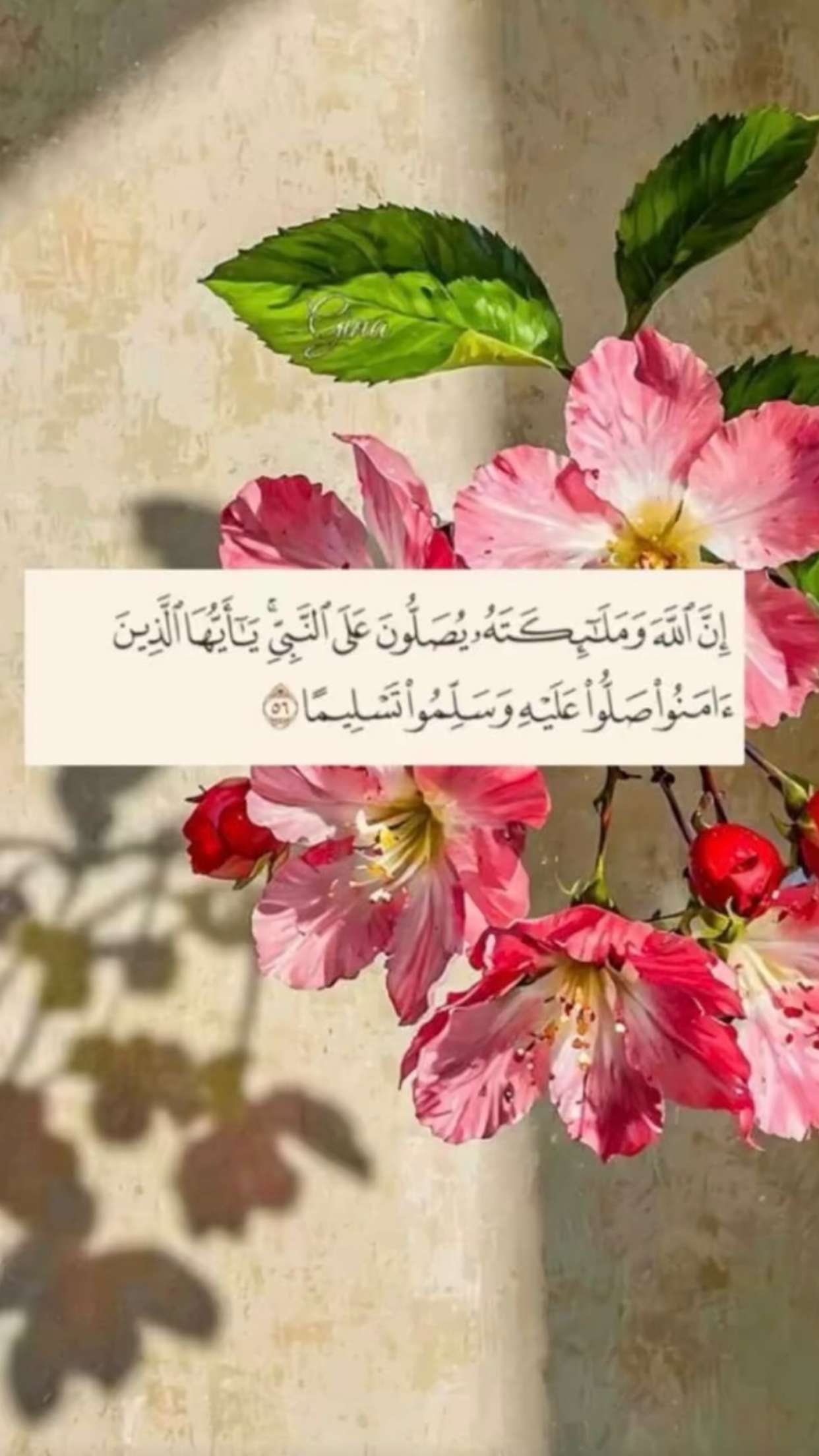 محتوى سناب شات لـ ام ساره
