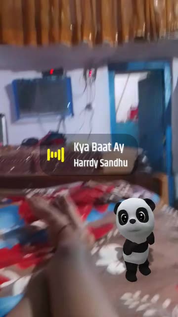 Preview for a Spotlight video that uses the Twerking Panda Lens