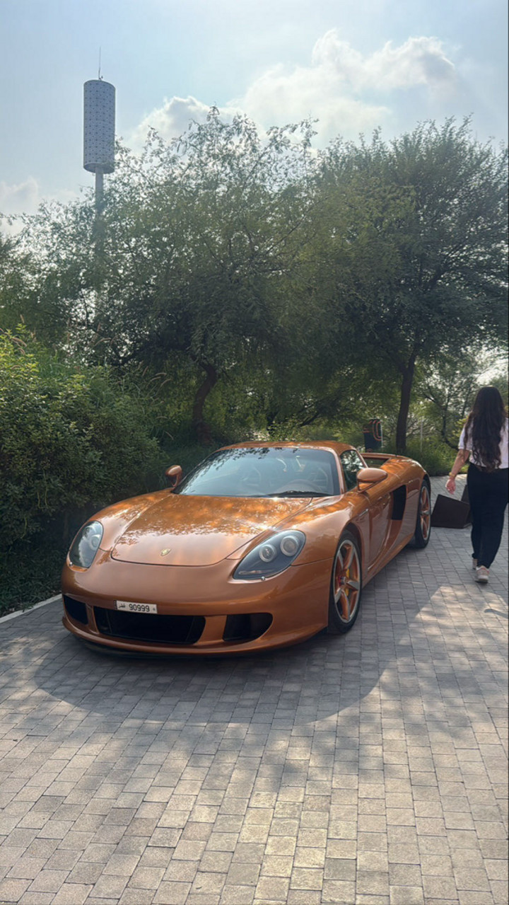 قصة سناب شات للحساب f_alshmer1994 رقم 226