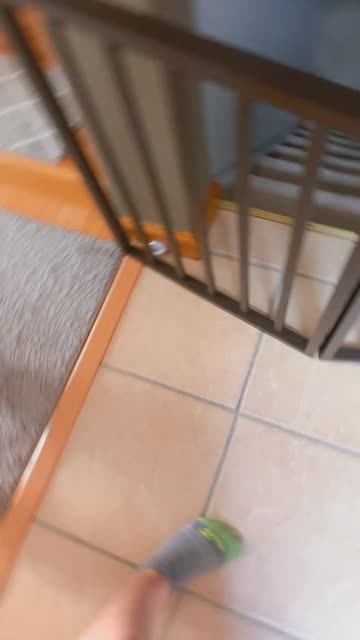 Preview for a Spotlight video that uses the Kitty with Nails Lens
