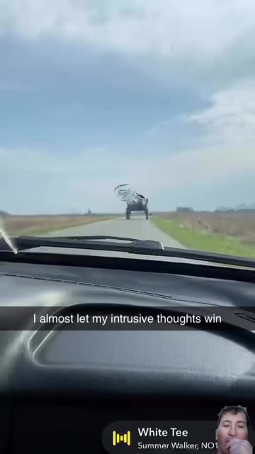 Spotlight content by a Snapchat user